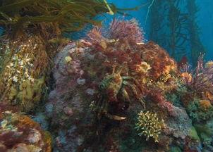 国家地理探索者：加尼福利亚大索尔海岸线,加尼福利亚大索尔海岸线的自然奇观与历史足迹